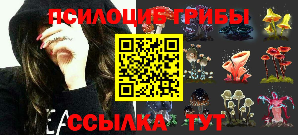 Галлюциногенные грибы Psilocybe  Вход с VPN  Карачаевск 